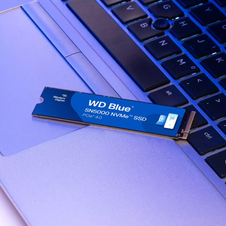 حافظه SSD وسترن دیجیتال Western Digital Blue SN5000 500GB M.2
